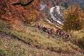 Herbstwanderung in den Balinger Bergen