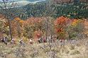 Herbstwanderung in den Balinger Bergen