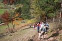 Herbstwanderung in den Balinger Bergen