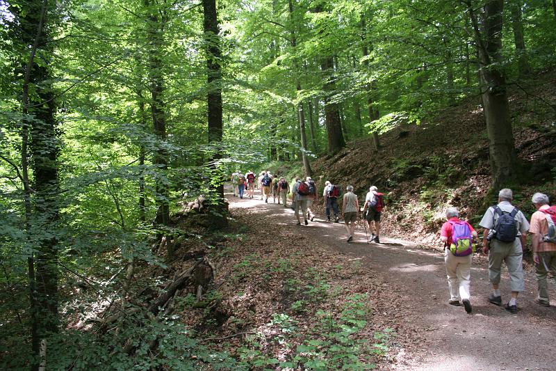 090614stuttgart_029.JPG - Weiter auf schattigen Waldwegen...