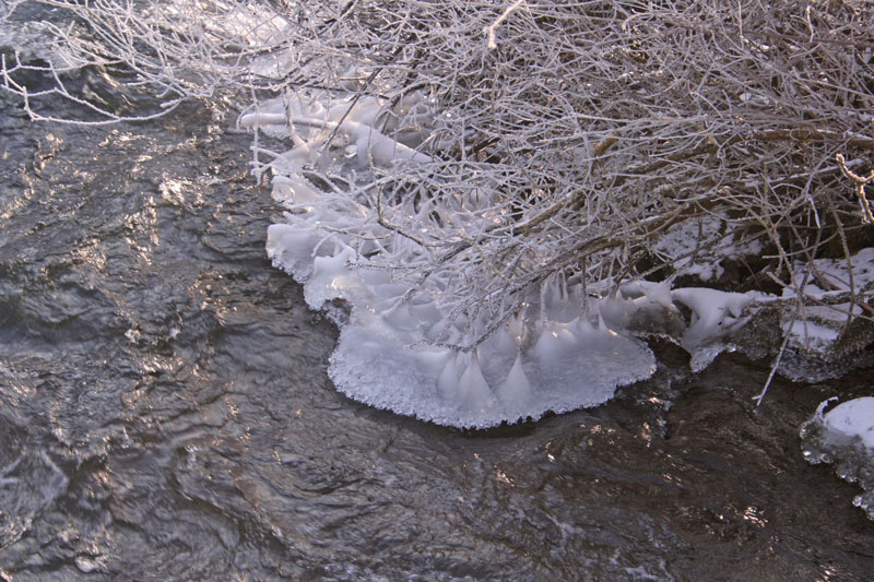 Winterliches Lauchertufer