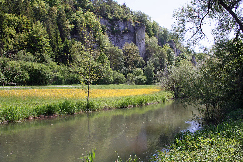 An der Lauchert zwischen Laucherthal und Hitzkofen