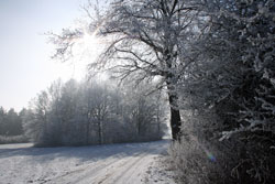 Winter auf dem Stauden