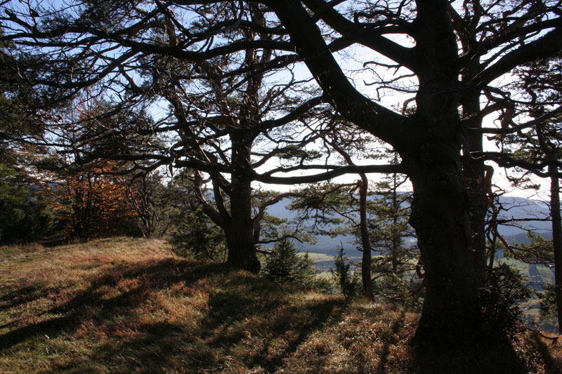 Herbst auf der Alb