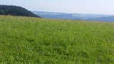 210916schwarzwald02_ (02)