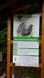 210916schwarzwald02_ (24)