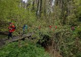 250426bluetenwanderung02__020