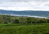 250426bluetenwanderung02__041