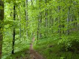 250426bluetenwanderung02__056