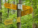 250426bluetenwanderung02__057