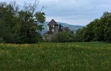 250426bluetenwanderung02__073