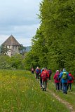 250426bluetenwanderung02__080
