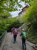 250426bluetenwanderung02__087