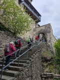 250426bluetenwanderung02__089