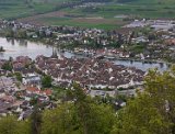250426bluetenwanderung02__098