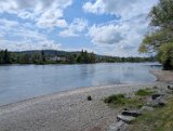 250426bluetenwanderung02__127