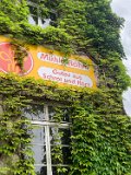 250525Uhingen_HV_Hauptverein (12)