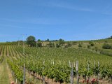 250531_Pfalz_Rad02_016