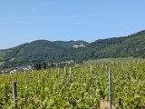 250531_Pfalz_Rad02_020