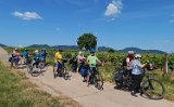 250531_Pfalz_Rad02_028