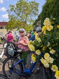 250531_Pfalz_Rad02_030