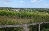 250531_Pfalz_Rad02_048