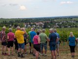 250531_Pfalz_Rad02_076