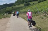 250530_Pfalz_Rad01_020a