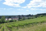250530_Pfalz_Rad01_021