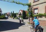 250530_Pfalz_Rad01_072