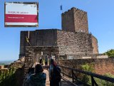 250530_Pfalz_Rad01_087