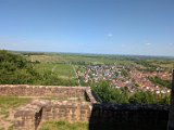 250530_Pfalz_Rad01_090