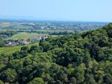 250530_Pfalz_Rad01_103