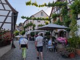 250530_Pfalz_Rad01_119