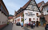 250601_Pfalz_Rad03_024