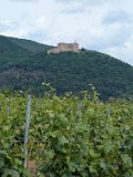 250601_Pfalz_Rad03_035