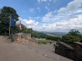250601_Pfalz_Rad03_130
