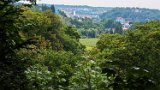 250820_Sen_Inzigkofen078