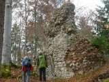 251108_burgruinen_gauselfingen33