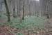 070318hintelestal06