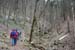070318hintelestal07