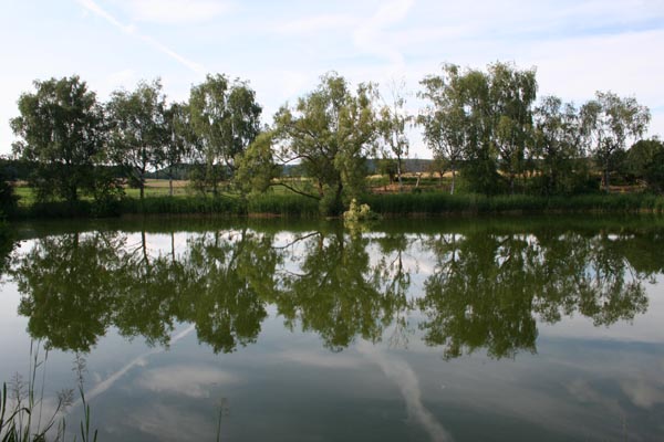 070630wilflingen08