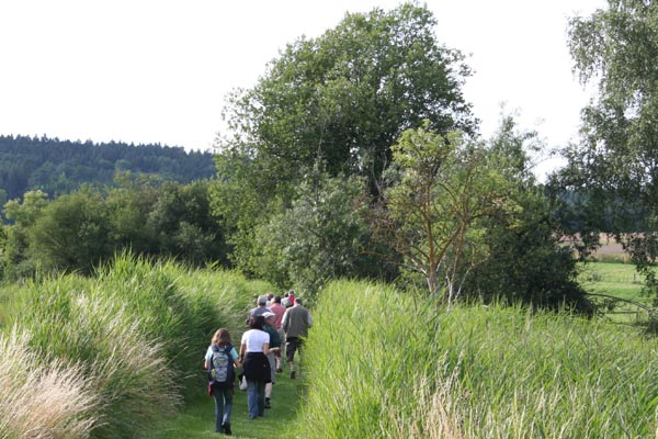 070630wilflingen10