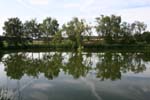 070630wilflingen08