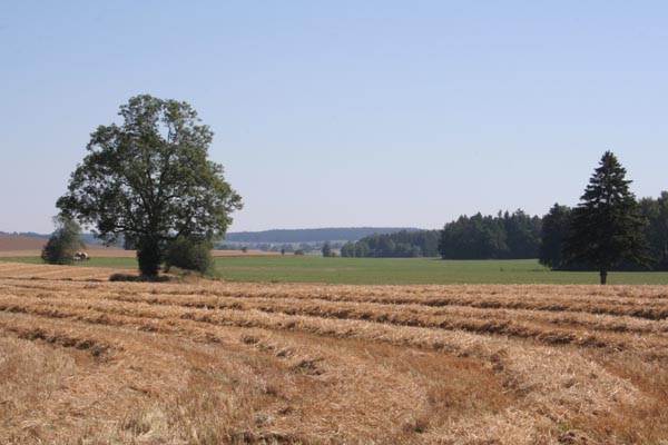 070715ried12