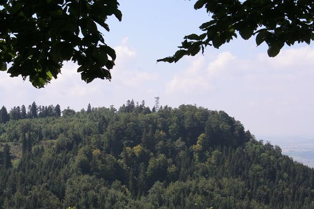 070812lemberg01 (13)