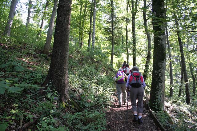 070812lemberg01 (2)