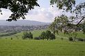 070812lemberg01 (0)