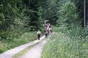 070812lemberg01 (27)