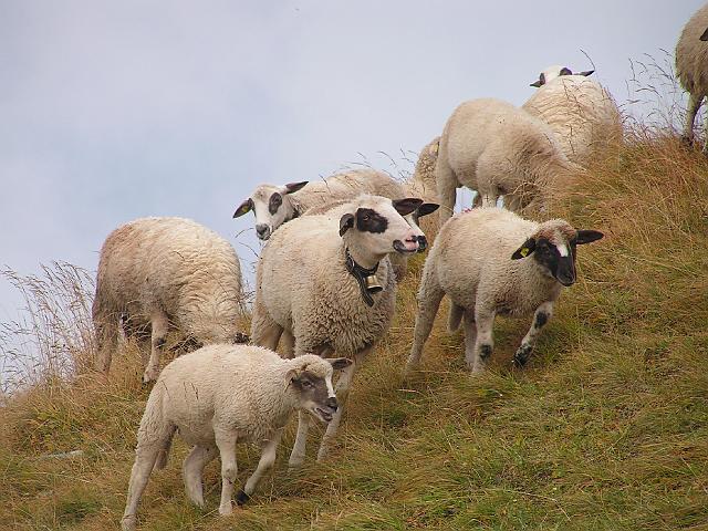 Churfirsten 15.9.2007